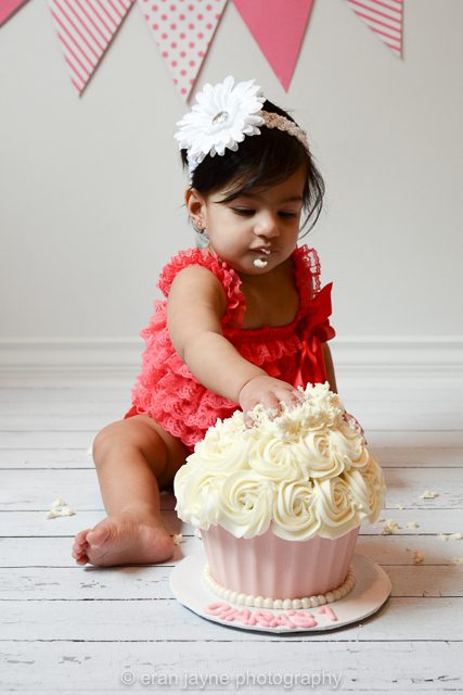Tsawwassen cake smash photographer