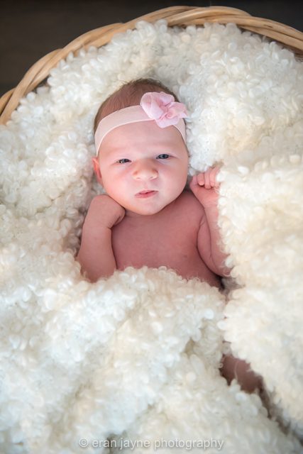 Vancouver newborn photographer