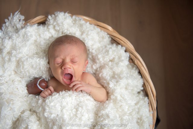Richmond newborn photographer