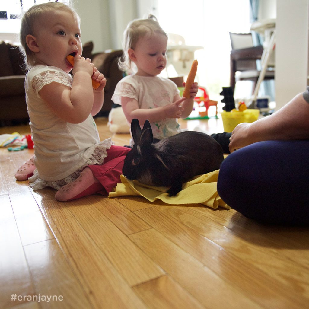 Baby Dove Campaign