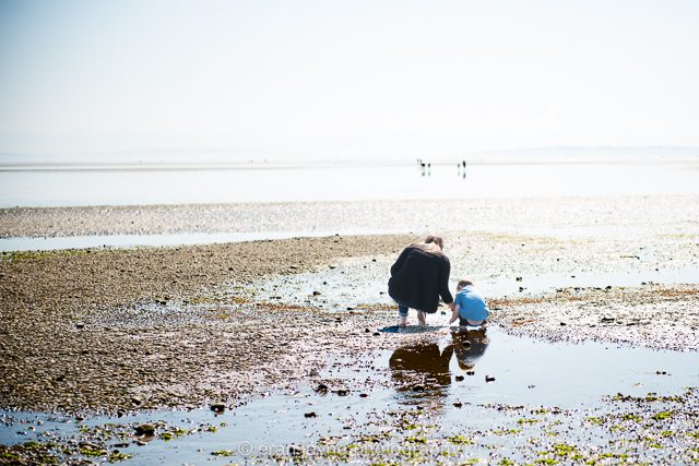 Tsawwassen photographer