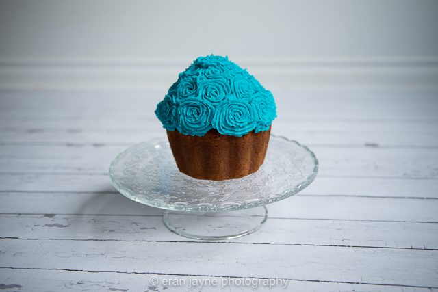 Tsawwassen cake smash photographer