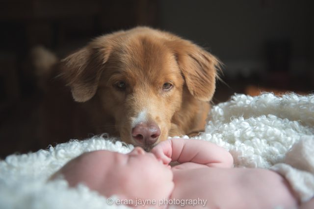 Tsawwassen newborn photographer