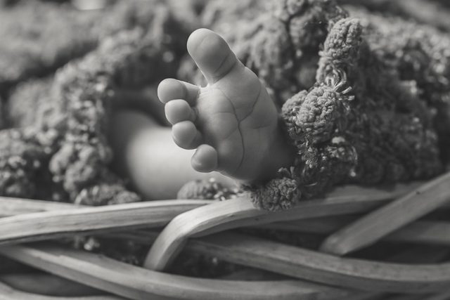 Ladner newborn photographer