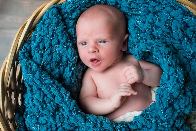 Ladner newborn photographer