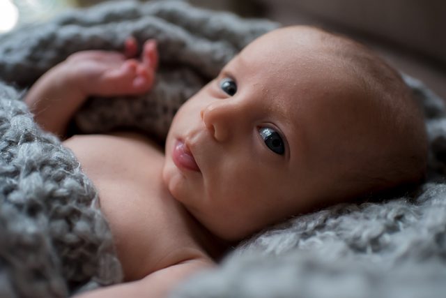 Ladner newborn photographer