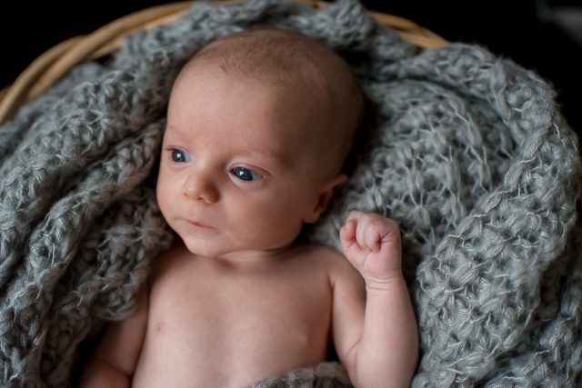 Ladner newborn photographer