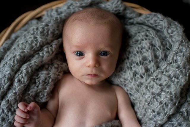 Ladner newborn photographer