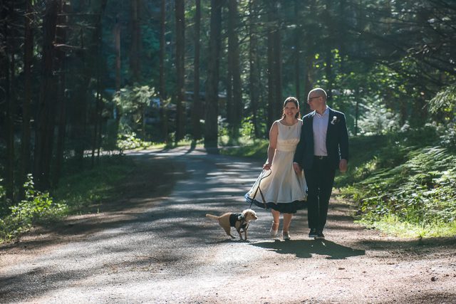 bride, groom and dog walk in a sunlit forest
