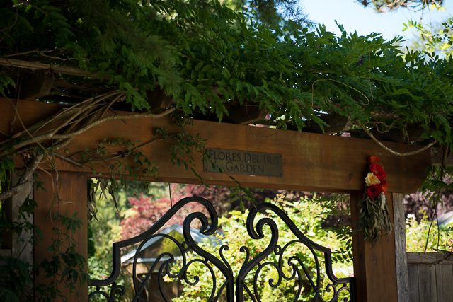 Galiano Island wedding photographer