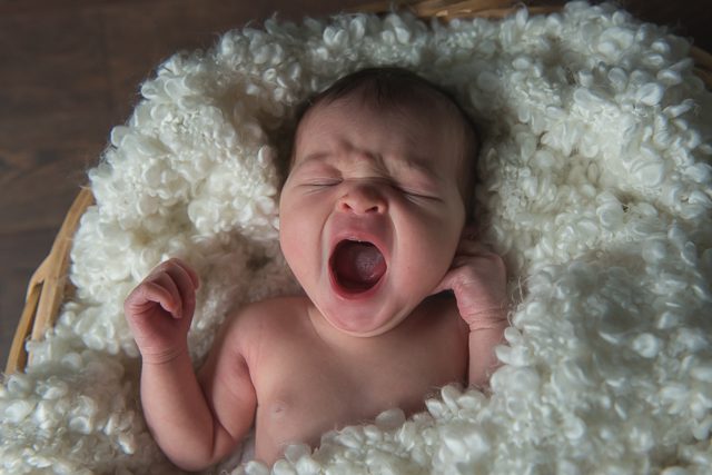 Vancouver newborn photographer