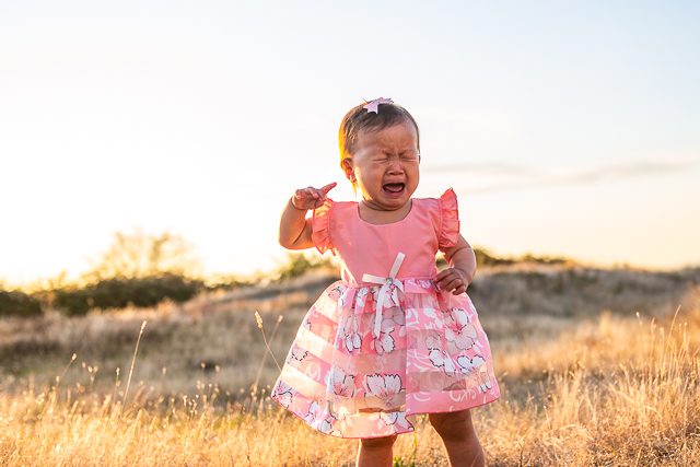 Tsawwassen photographer