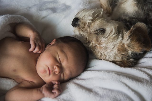 Tsawwassen newborn photographer