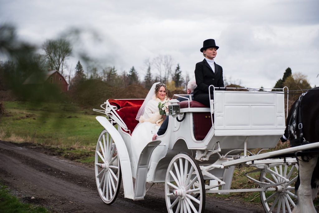 Tsawwassen wedding photographer