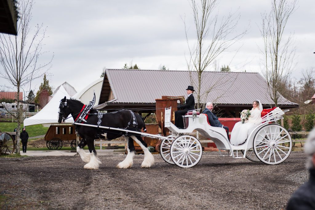 Tsawwassen wedding photographer